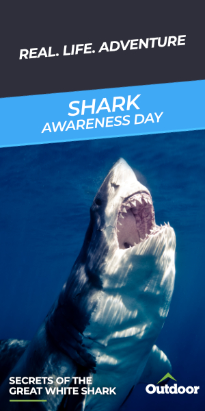 Secrets of the Great White Shark